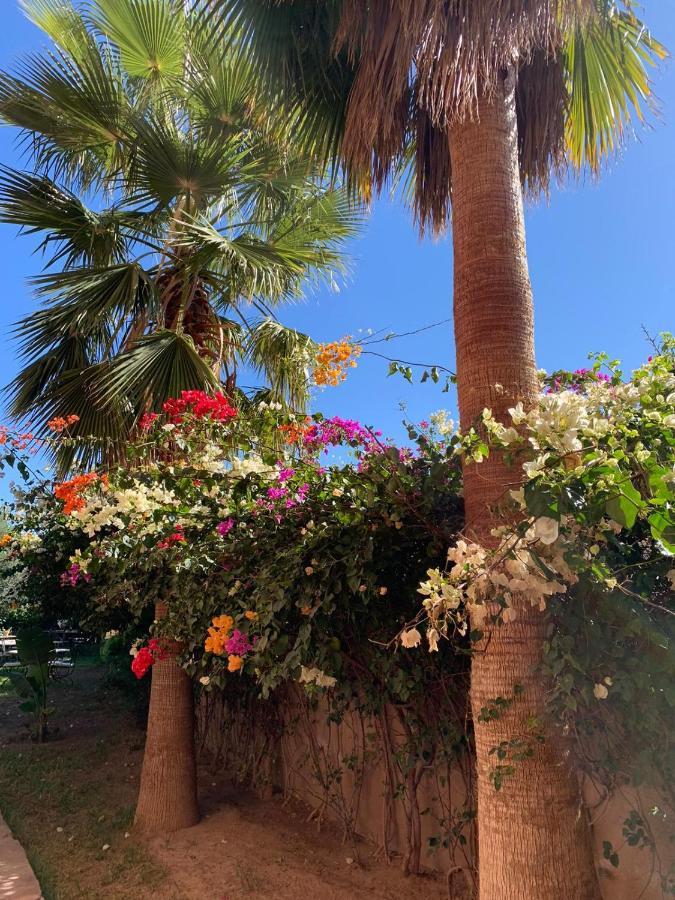 Les Terrasses Du Lac Marrakech Lalla Takerkoust Zewnętrze zdjęcie